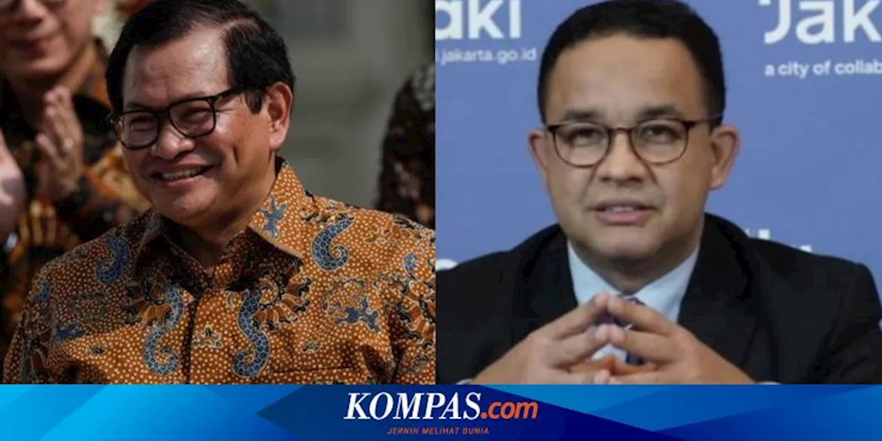 Anie Punya Elektabilitas Tinggi tapi Gagal Ikut Pilkada Jakarta 2024, Pengamat Ungkap Penyebabnya