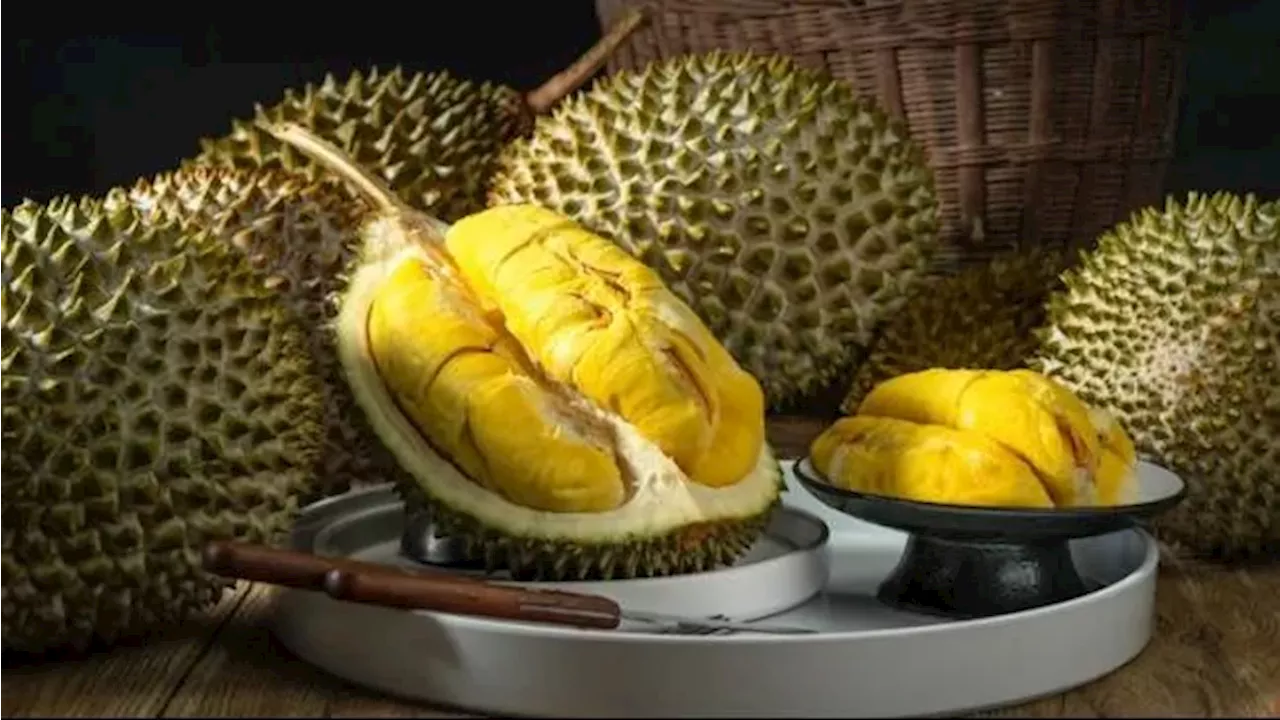 Durian Musang King Malaysia Dijual Rp1,3 Juta per Butir di China