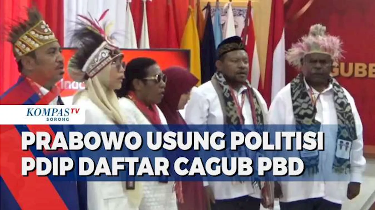 Prabowo Usung Politisi PDIP Elisa Kambu - Ahmad Nasrauw Daftar Cagub PBD