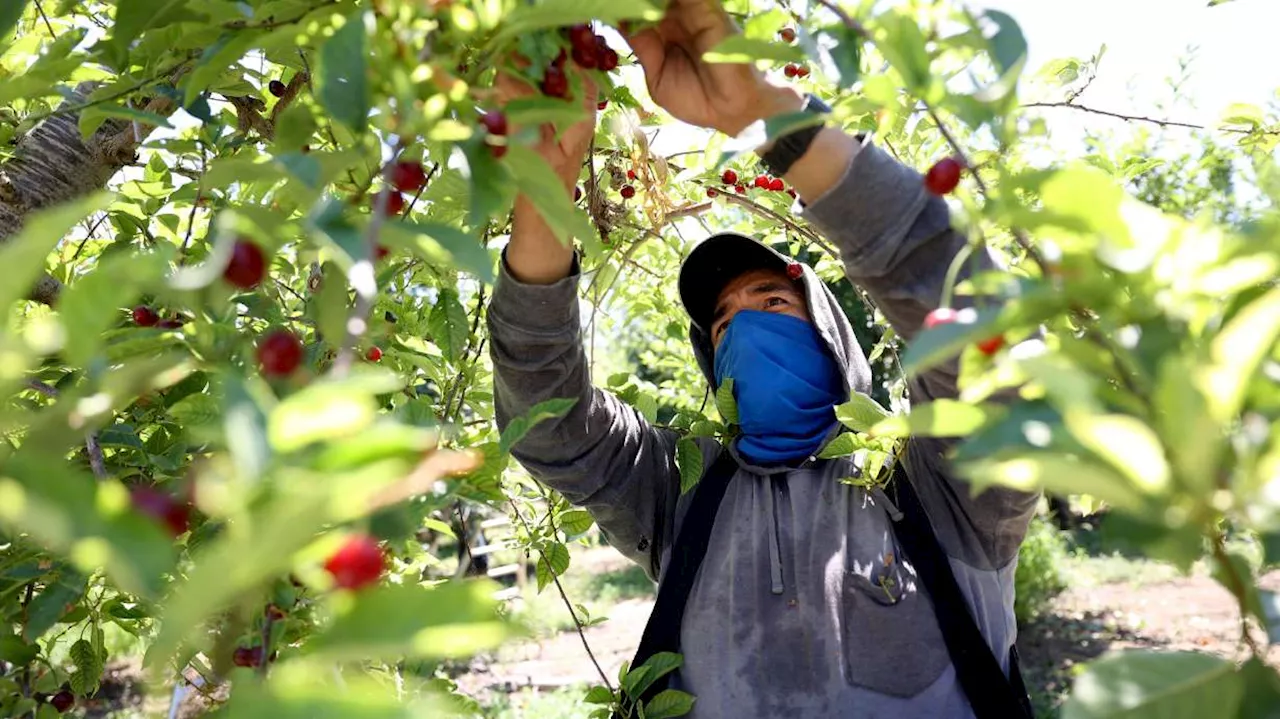 Consulates in Salt Lake City and 52 other cities put focus on Mexican workers' rights