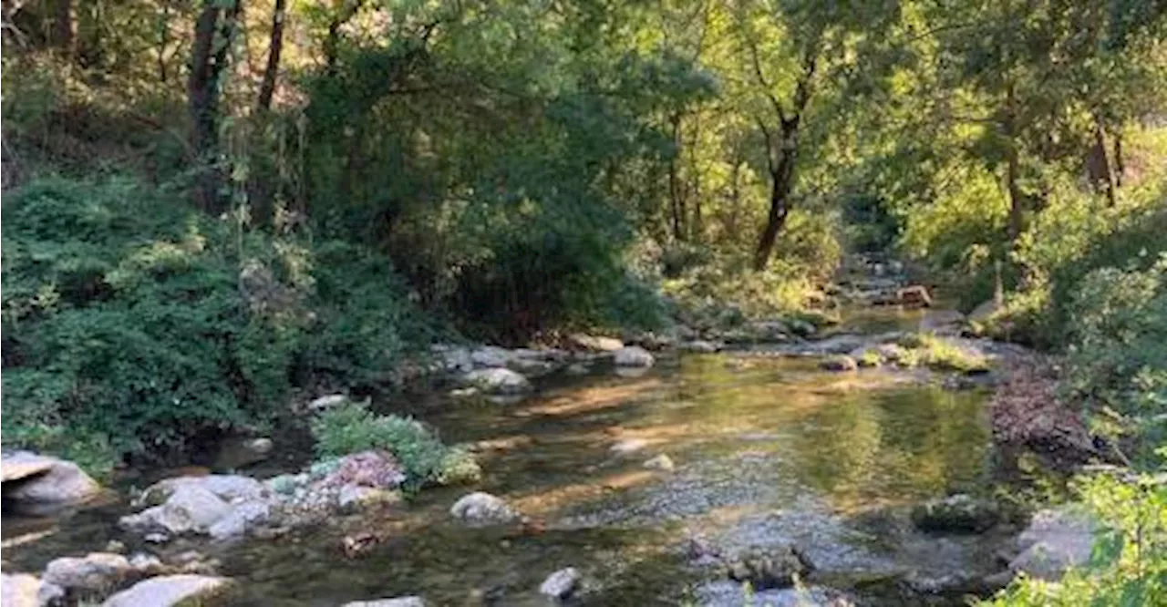 Les rivières à sec menacent la biodiversité