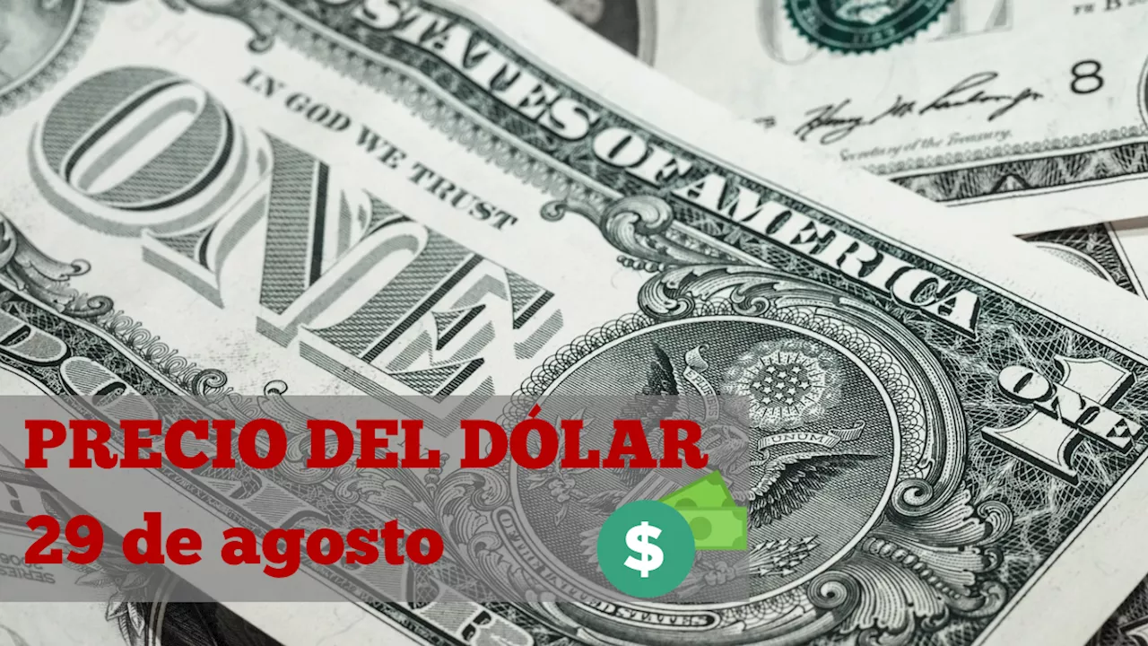 Este es el precio del dólar HOY jueves 29 de agosto de 2024