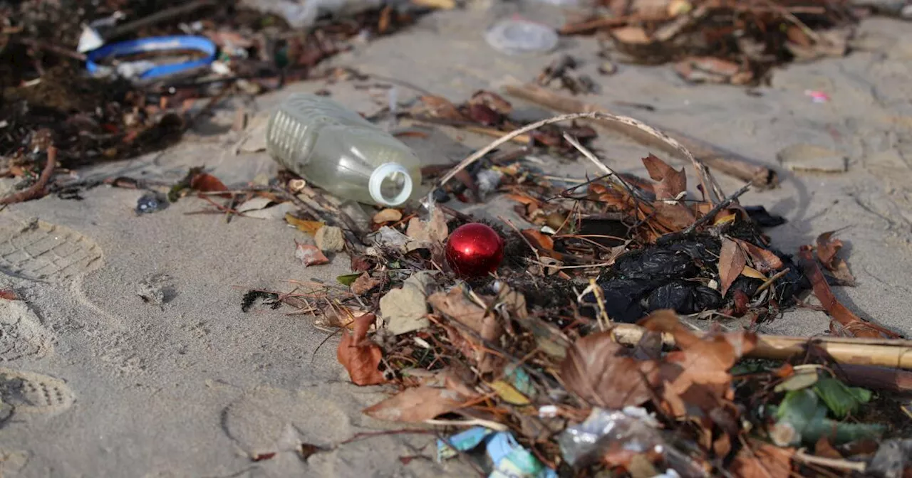 My teen daughter turned a beach visit into a lesson on protecting the planet