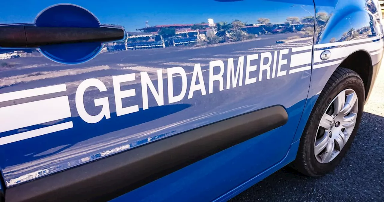 Essonne : le rappeur Zola en garde à vue, après un refus d’obtempérer sur l’A6