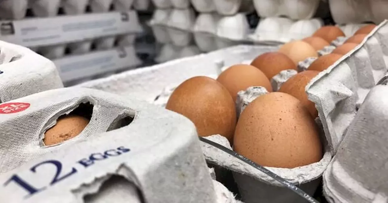 Eggs set for major changes in Tesco, Sainsbury's, Asda and Aldi