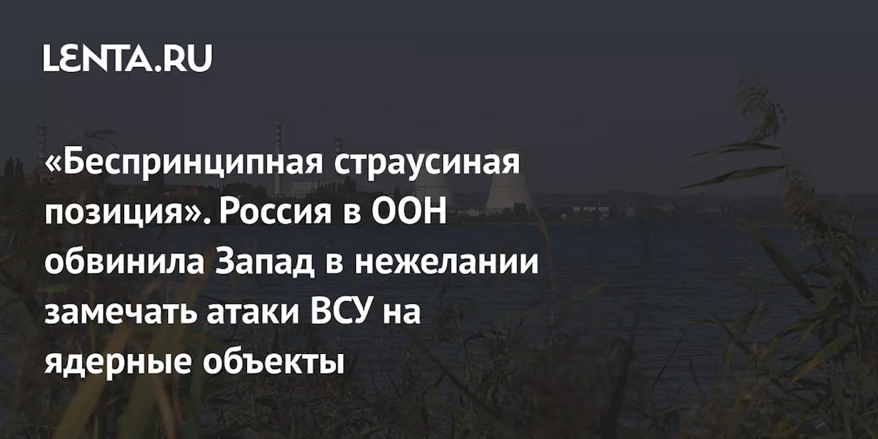 «Беспринципная страусиная позиция». Россия в ООН обвинила Запад в нежелании замечать атаки ВСУ на ядерные объекты