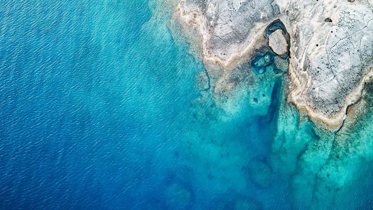 Climat : la mer Méditerranée se « tropicalise », et c'est un gros problème