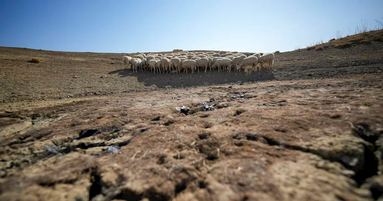 Le bassin méditerranéen «se transforme petit à petit en steppes» à cause du changement climatique