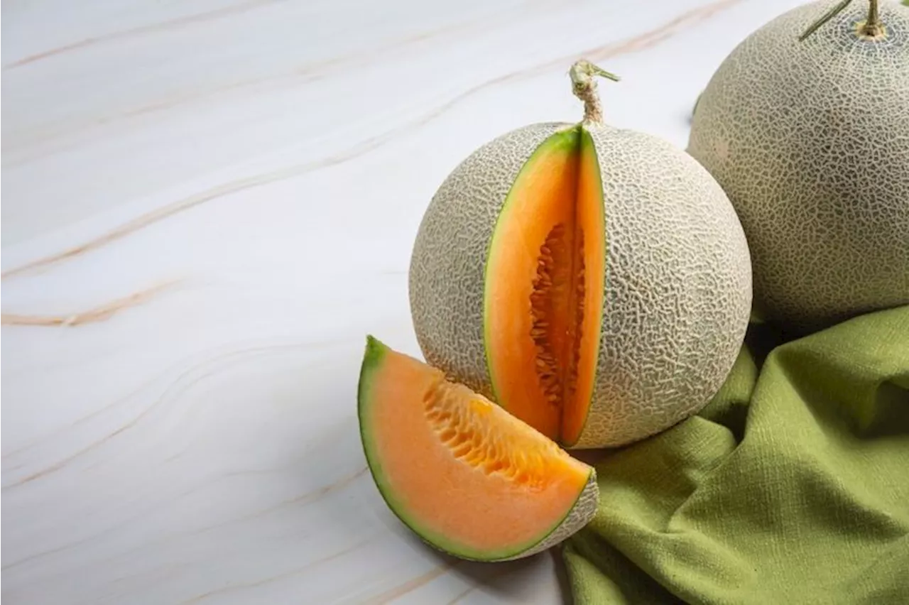 7 Manfaat Buah Melon bagi Kesehatan Tubuh, Baik untuk Kulit