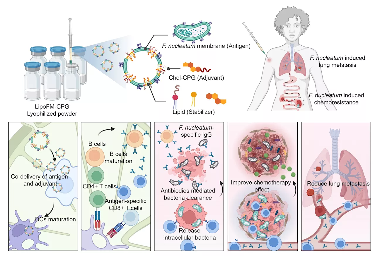 Innovations in cancer treatment through targeted bacterial vaccines