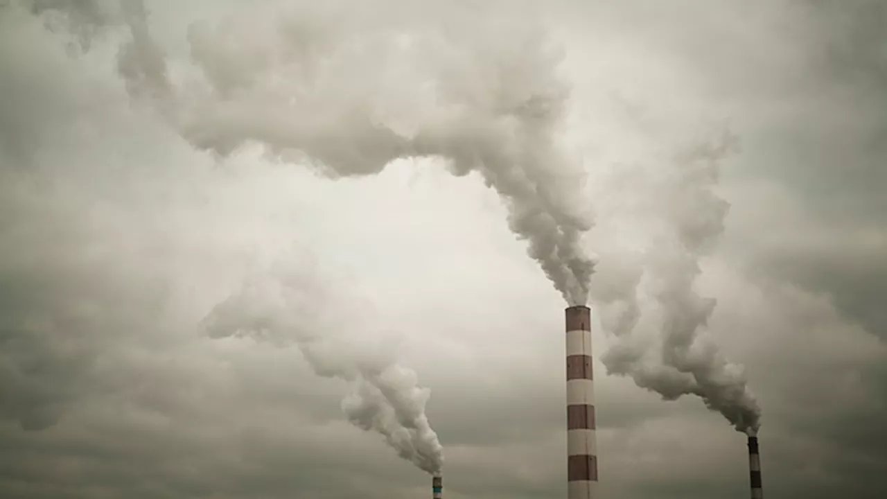 Air Pollution: A Hidden Trigger for Giant Cell Arteritis?