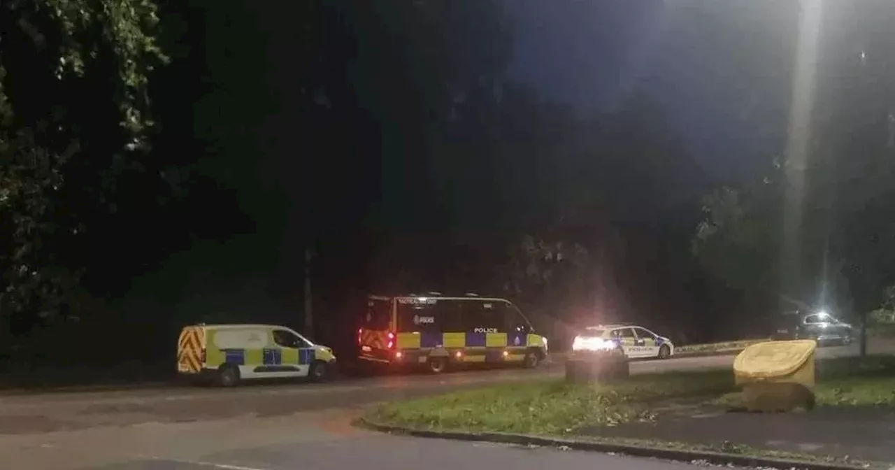 Search teams and armed police uncover 'two suspected firearms' near river