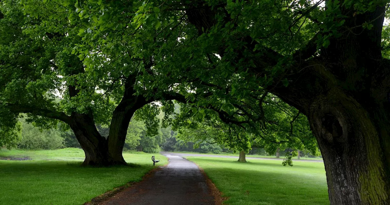 Wythenshawe Park café to CLOSE after '£3.95 for 99 cone' row