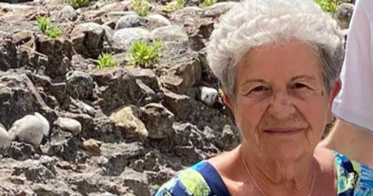 Grandma, 89, lost in Alps for five days survives by befriending fox