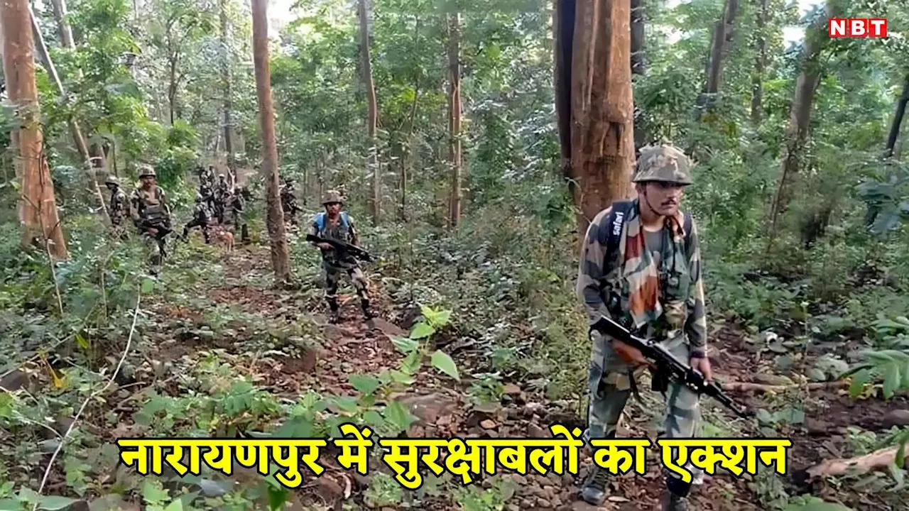 Naxalite Encounter: नारायणपुर में सुरक्षाबलों और नक्सलियों के बीच मुठभेड़, एनकाउंटर में 3 महिला नक्सली ढेर