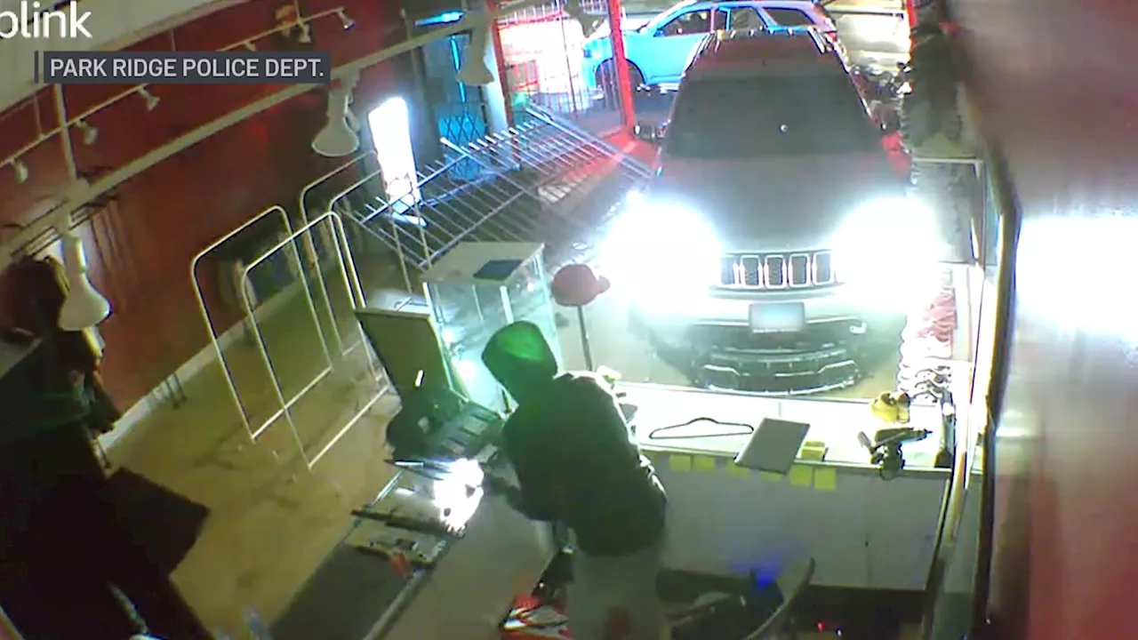 Shocking surveillance video shows burglars ramming car into Park Ridge shoe store