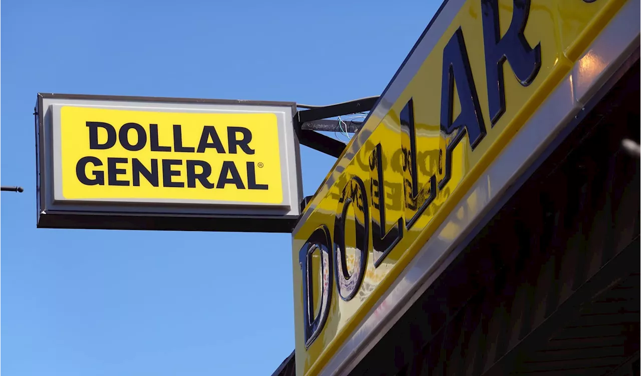 Dollar General shares crater 25% as retailer cuts outlook, blaming ‘financially constrained' customers