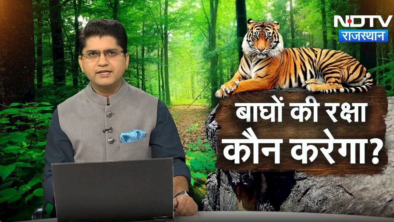 Rajasthan: Tiger Reserve में बाघों की रक्षा करने वाला कोई नहीं, कौन जिम्मेदार? | Latest