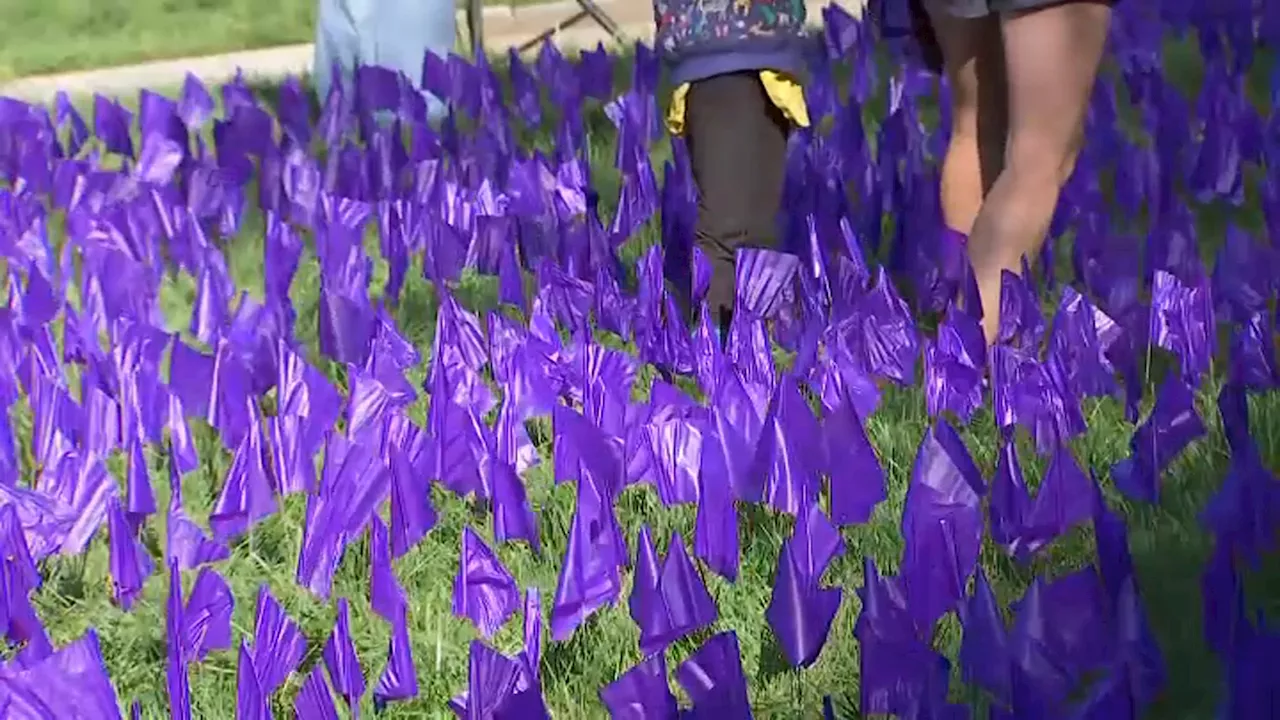 Opioid crisis toll reflected in field of flags