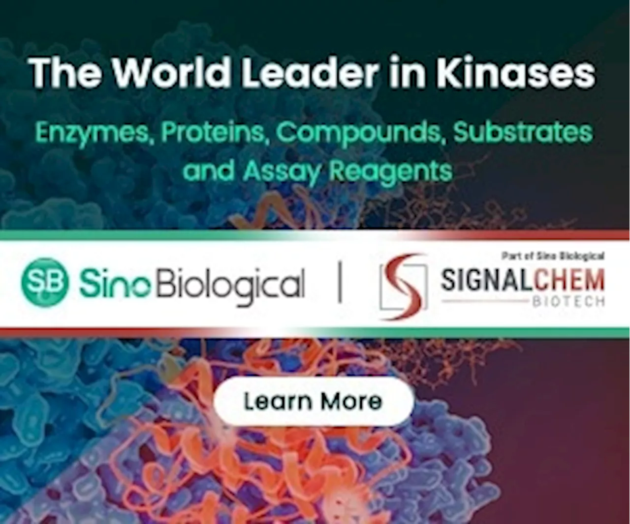 SignalChem Biotech, World Leader in Kinases, Is Now Part of Sino Biological