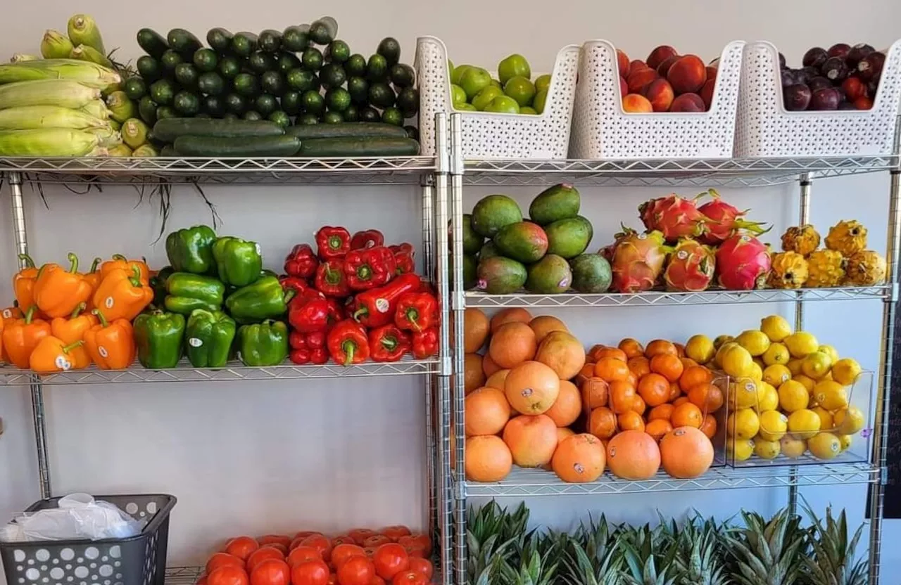 In this N.J. food desert, an oasis of fresh, healthy food finally opens its doors