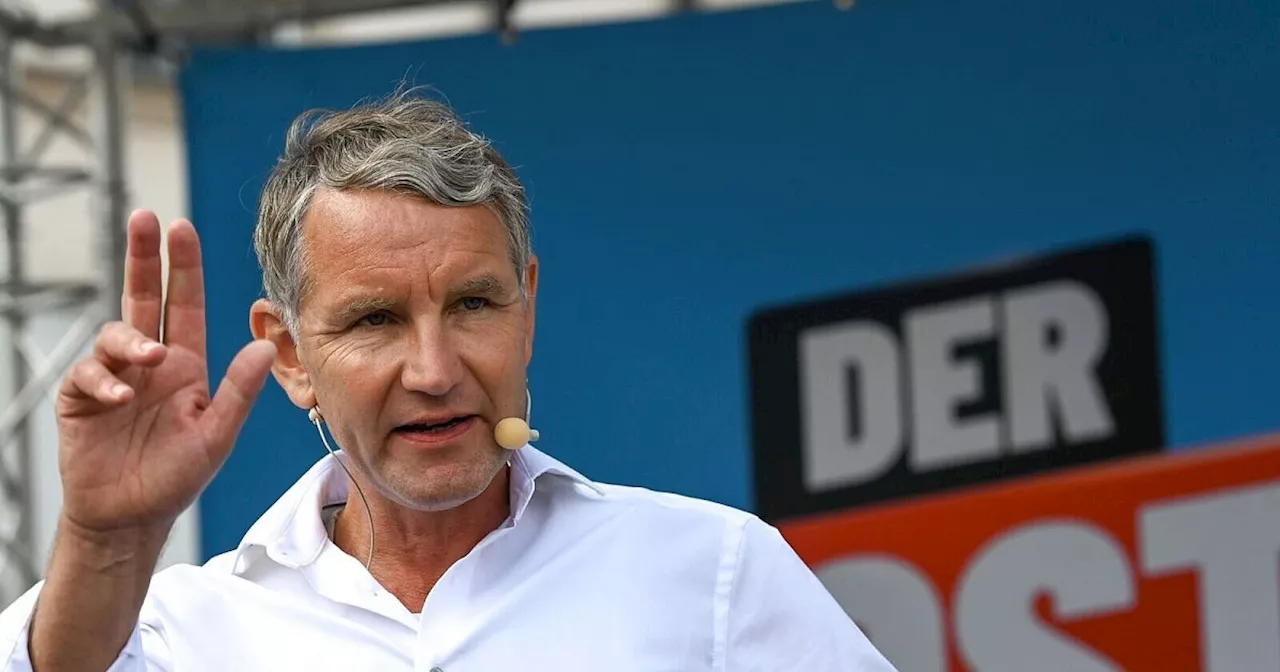 Thüringer AfD: Höcke nimmt Termine wieder wahr