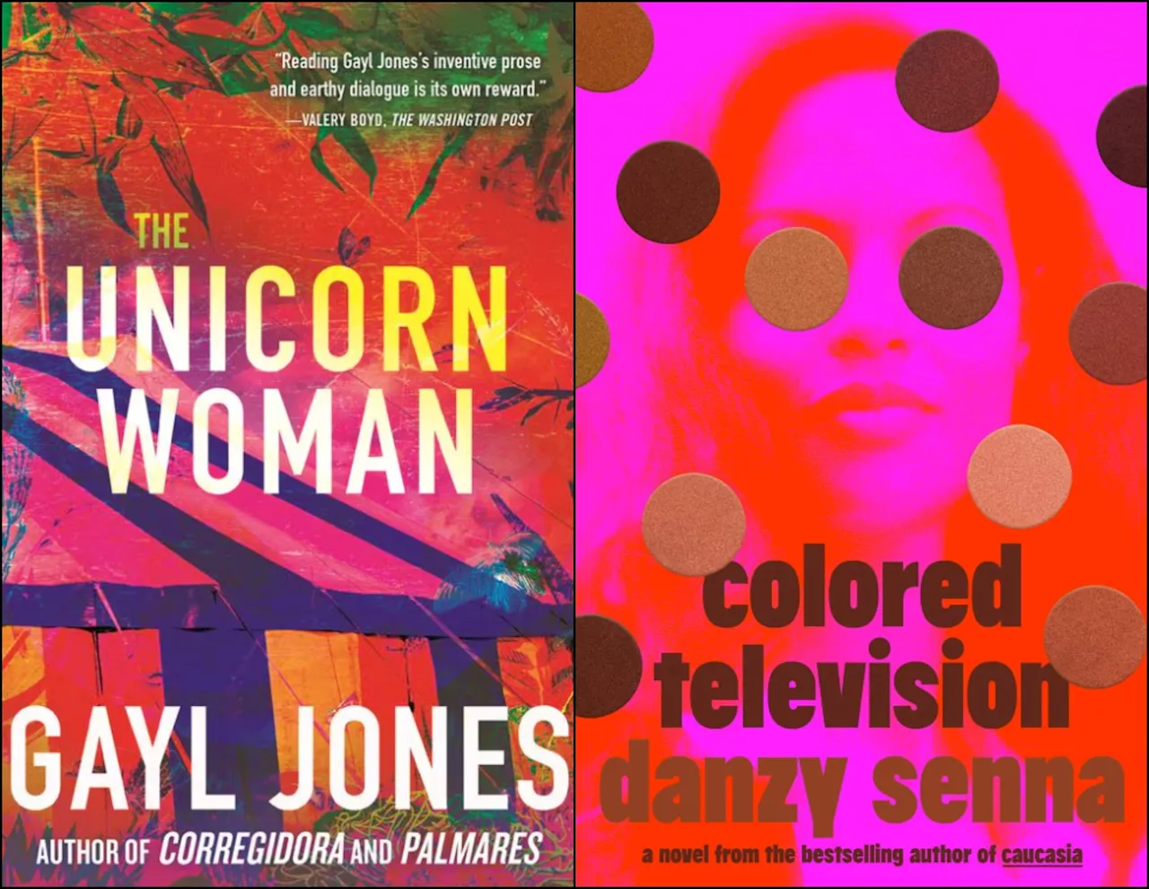 New Black fiction from Danzy Senna and Gayl Jones