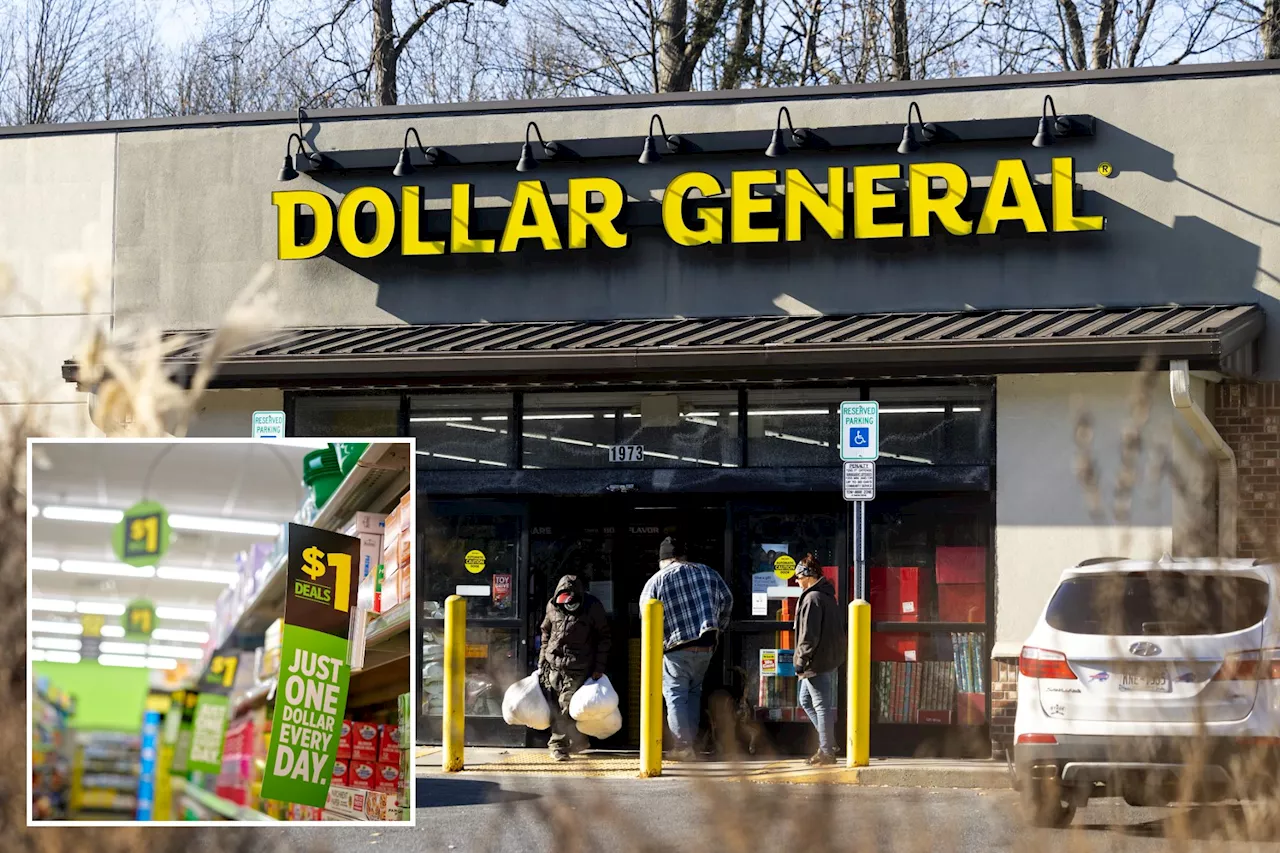 Dollar General shares plummet as Walmart, Target take bite out of profit