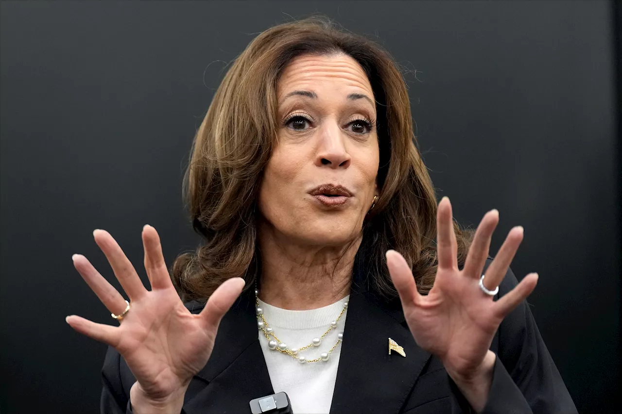 Kamala Harris' 'Frankenstein' team reportedly plagued by tensions and 'lack of role clarity'