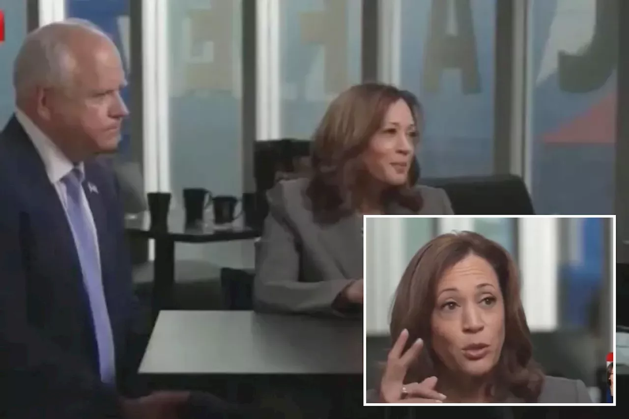 Kamala Harris says 'my values have not changed' in first interview since Biden dropout