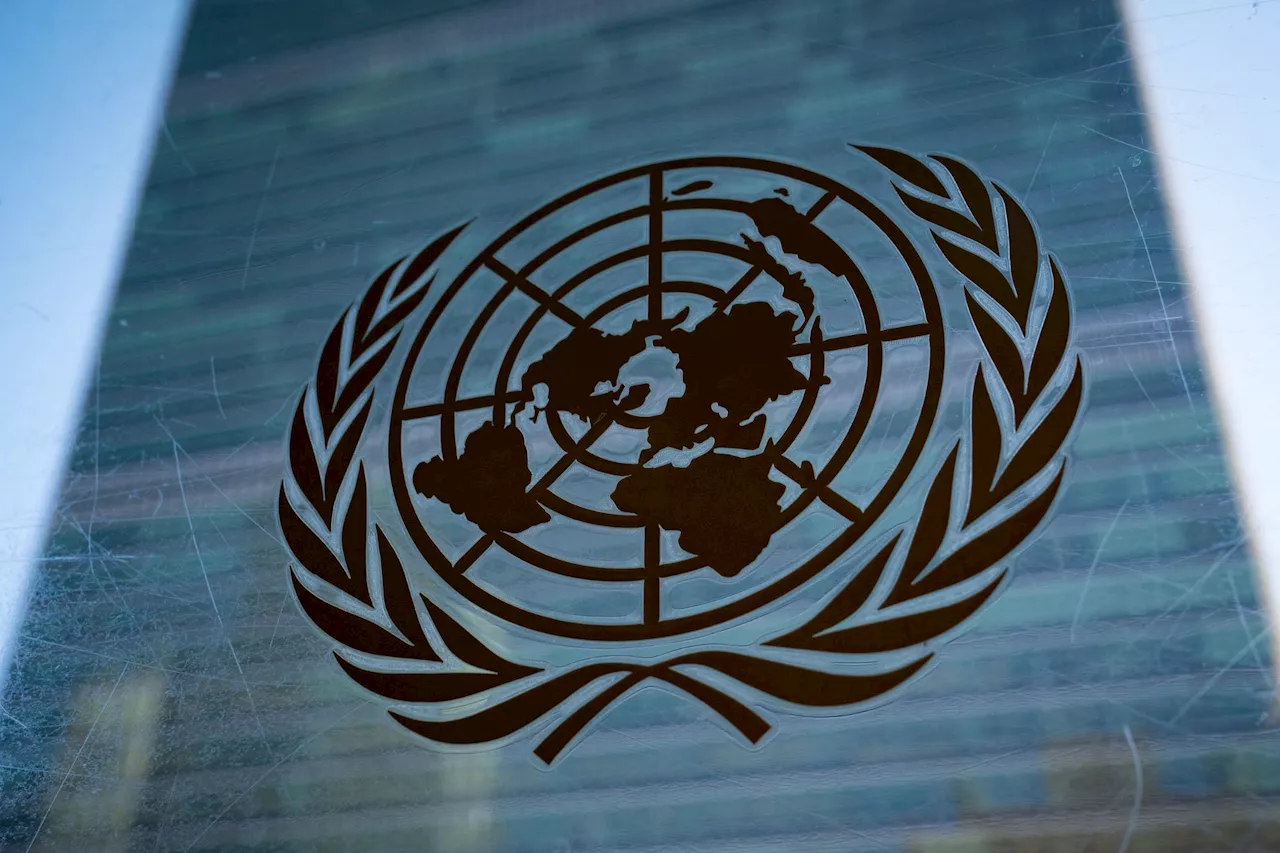 The United Nations is 'terrified' of Trump, official admits in undercover video