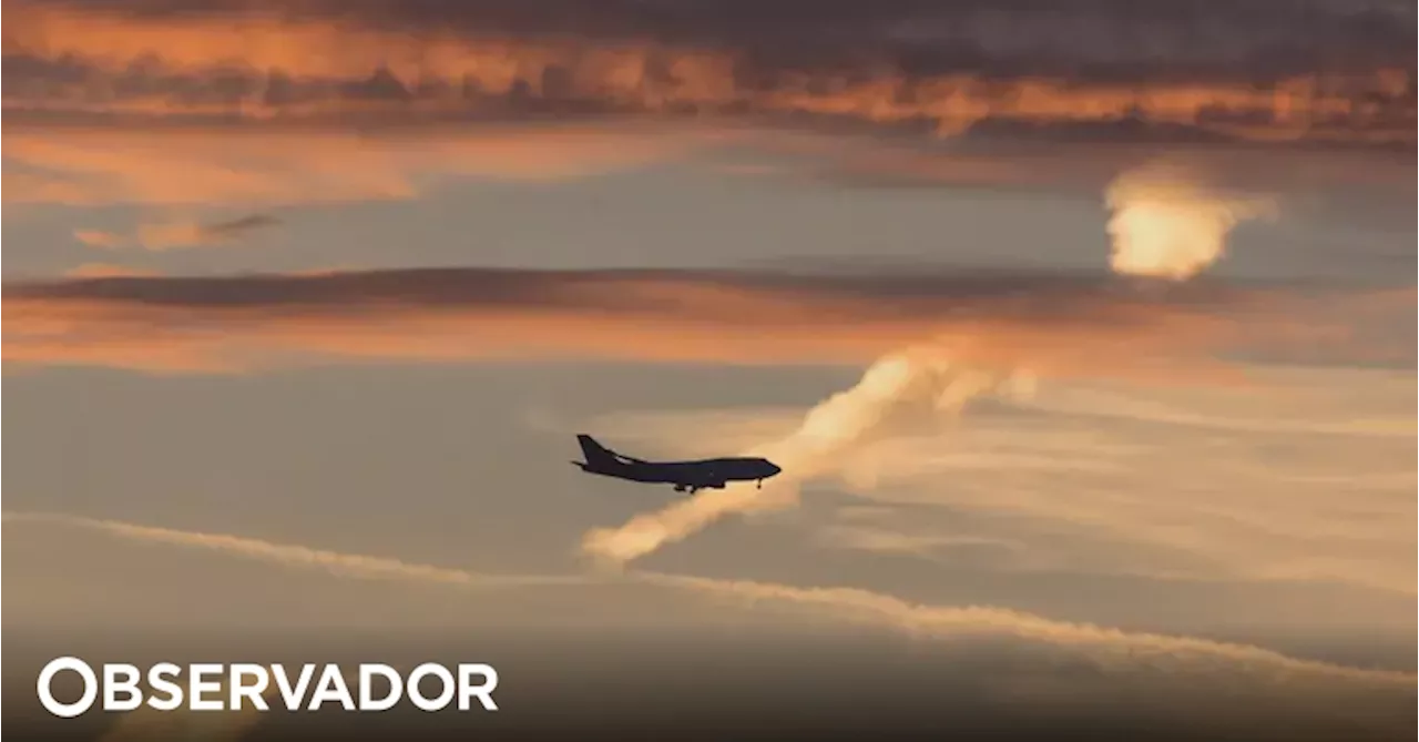 Procura de transporte aéreo sobe 8% em julho apesar de falha informática global