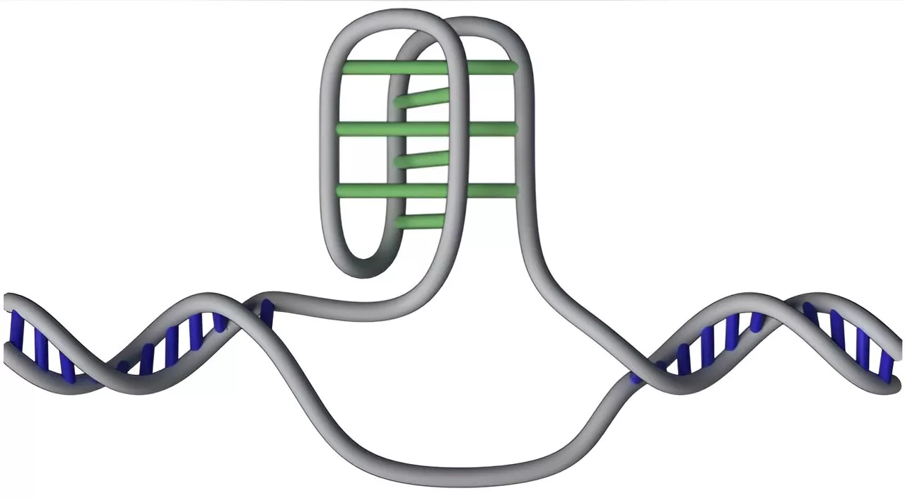 Researchers map 50,000 of DNA's mysterious 'knots' in the human genome