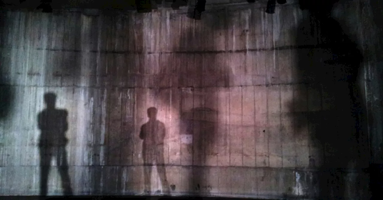 Carl Jung used the term shadow to refer to the unacceptable parts of ourselves.