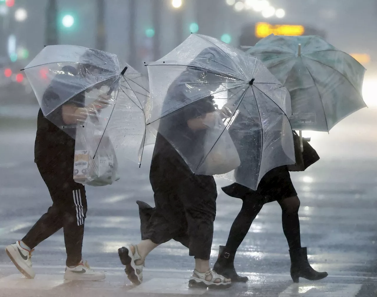 Japan hit by heavy rain, power outage as Typhoon Shanshan makes landfall