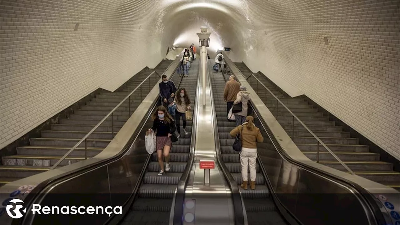 Está retomada a circulação na linha Verde do metro de Lisboa após avaria na sinalização