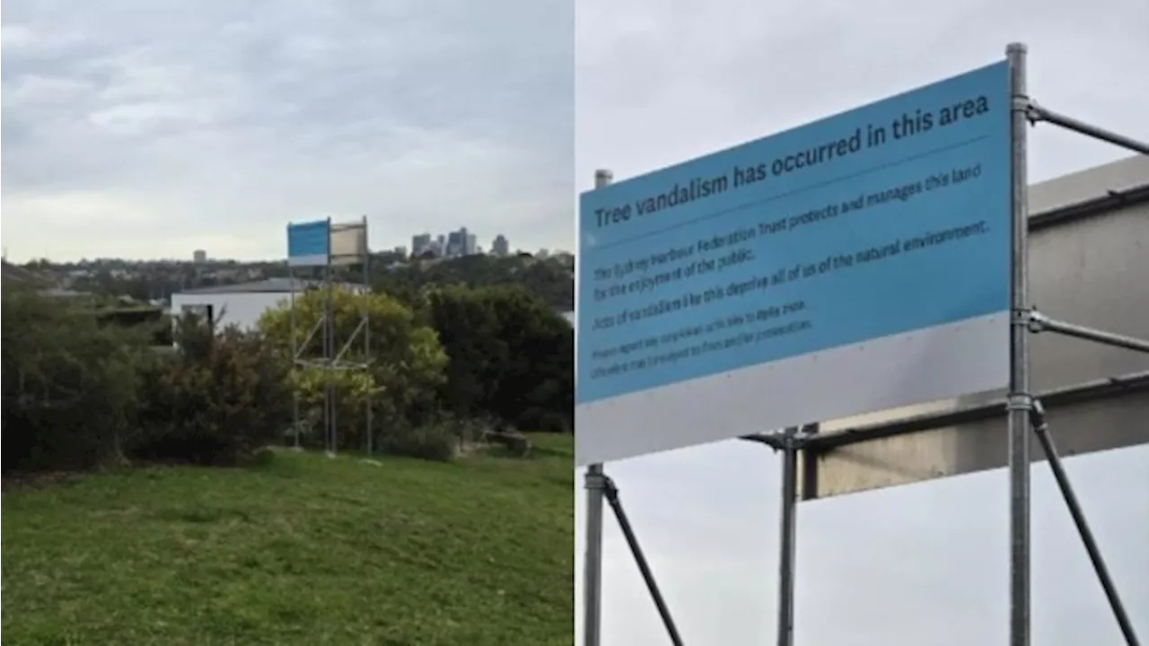 ‘Love this’: Sydney Harbour Trust praised for response to illegal tree cutting