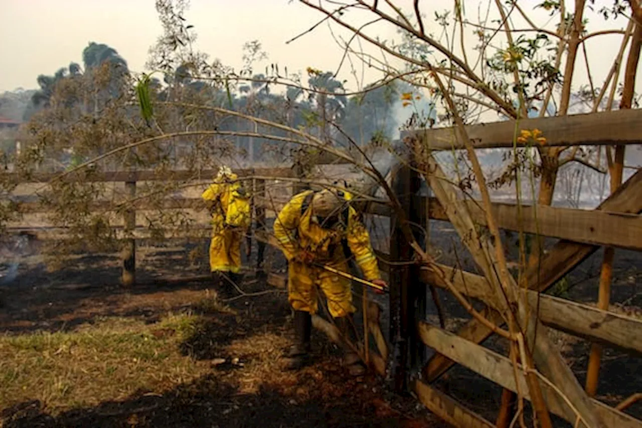 Emergenza incendi in Brasile: la Corte Suprema ordina la mobilitazione