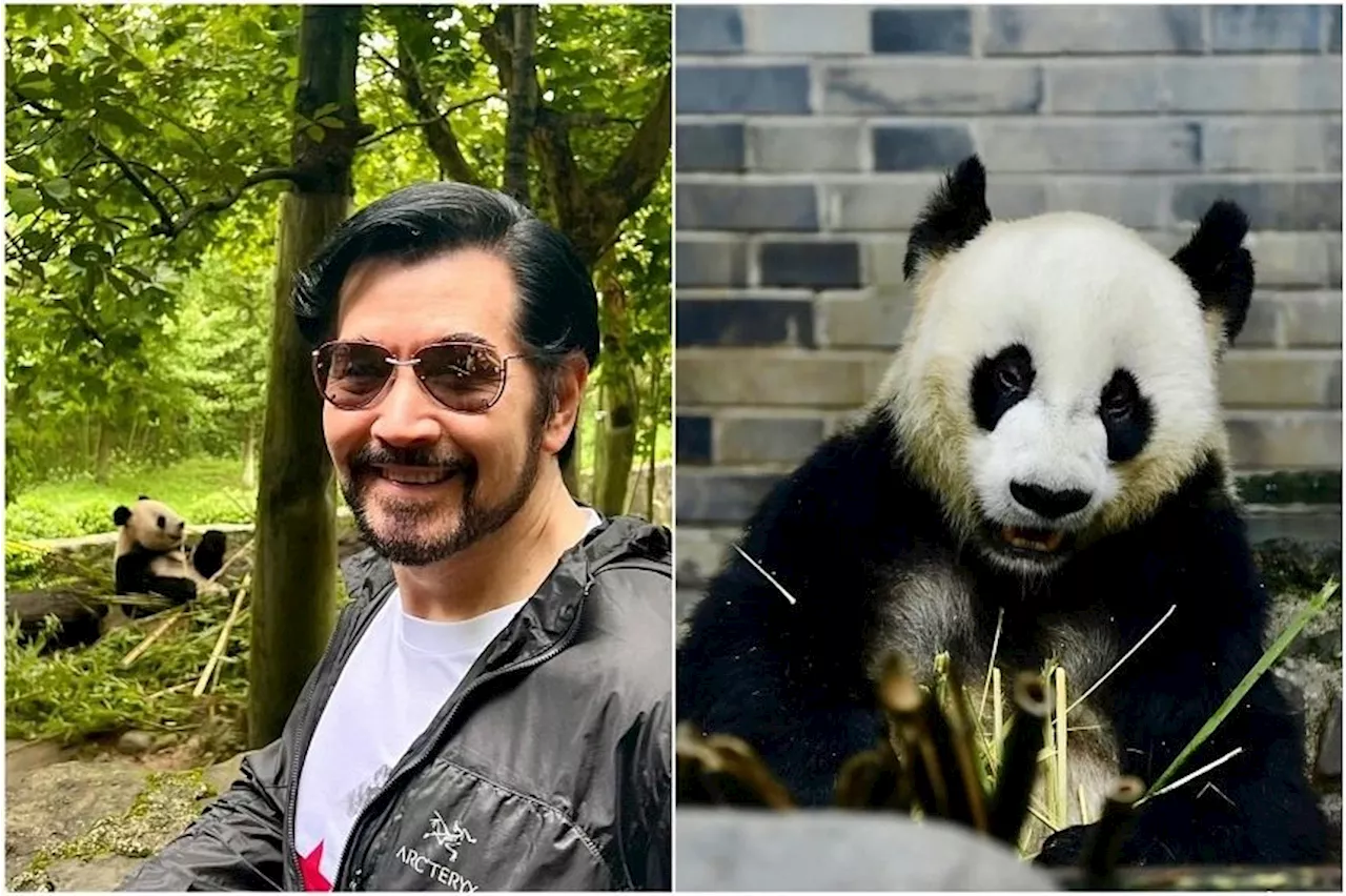 Singer-actor Fei Xiang mourns death of his adopted 25-year-old, three-legged panda