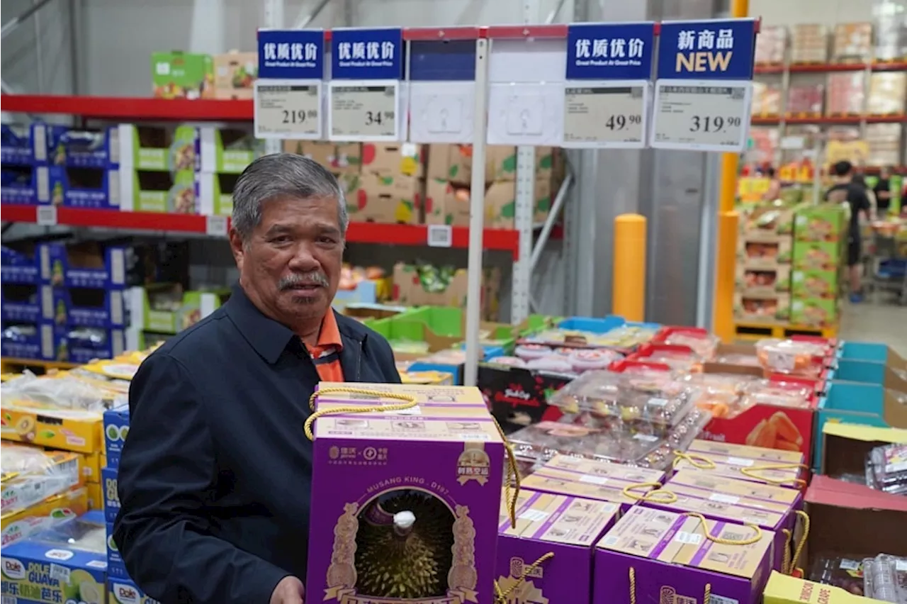 Malaysian Musang King durians sold at $105 per fruit in China