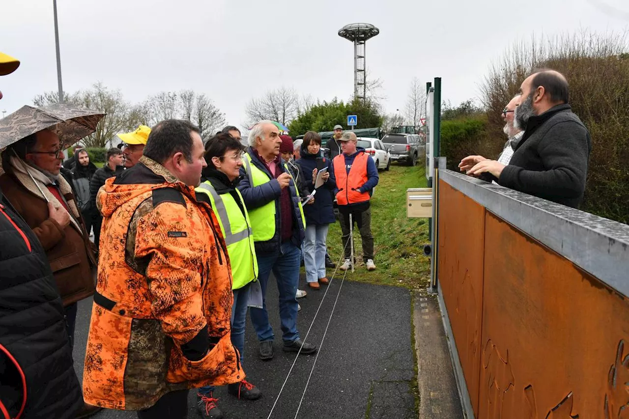 Sangliers en Dordogne : la question des dégâts, point de friction entre les chasseurs et les agriculteurs