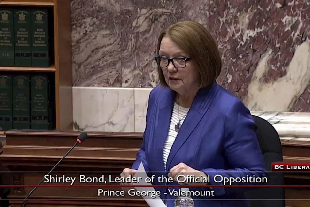 Long-time MLA Bond not running as B.C. United fallout trickles across B.C.