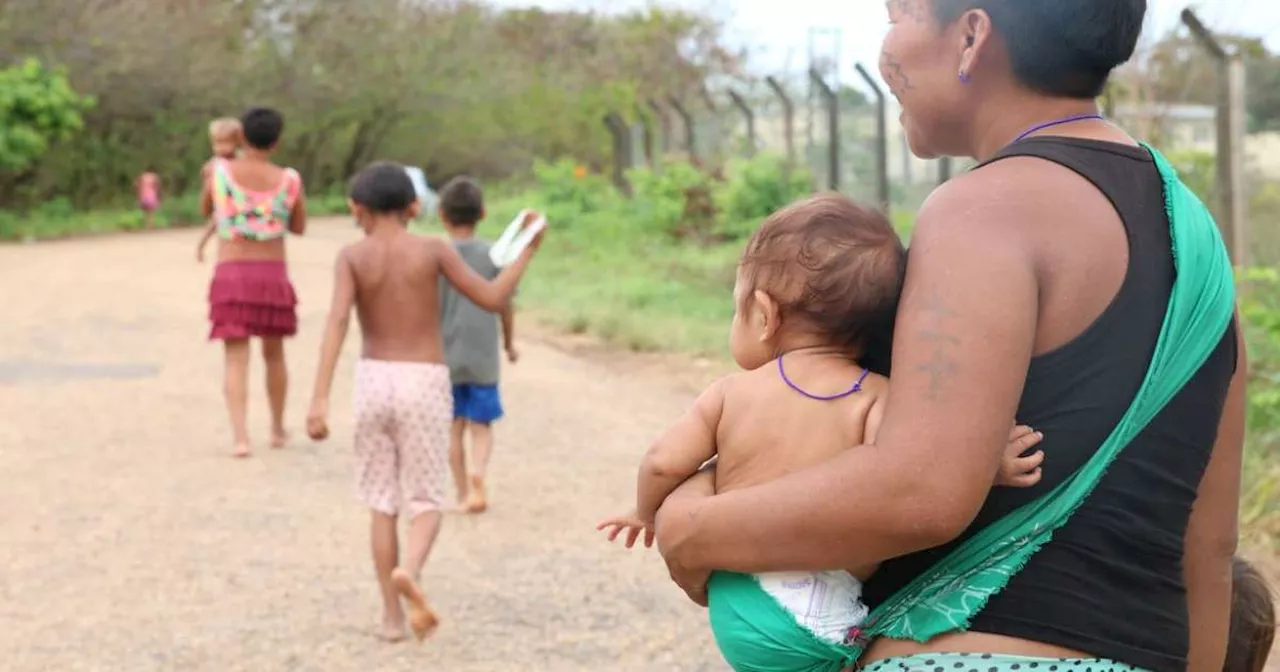 Roraima é o estado em que população mais cresce no País; Alagoas registra menor avanço