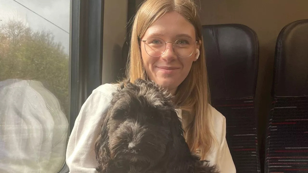 Getting a dog has been so stressful it’s put us off having children