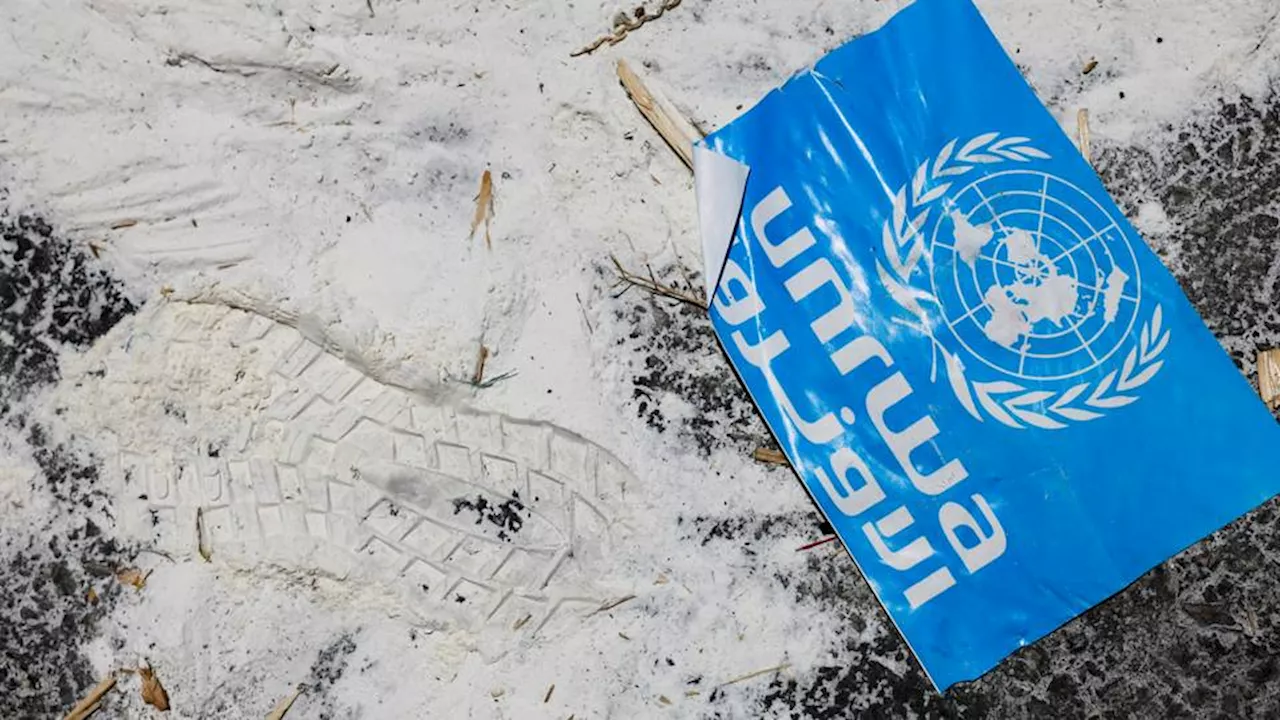 UN: 212 staff members killed since start of Israel's war on Gaza