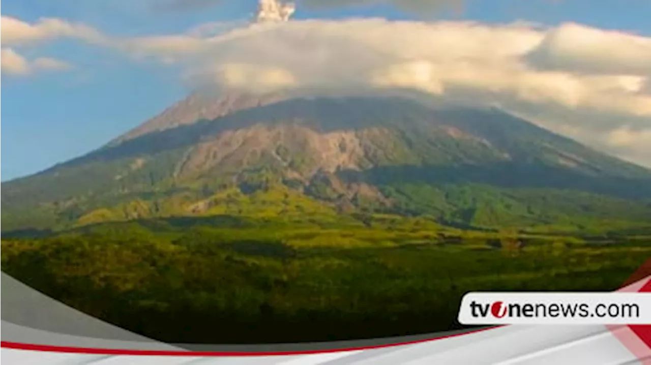 Gunung Semeru Erupsi, Semburkan Abu Vulkanik Setinggi 700 Meter