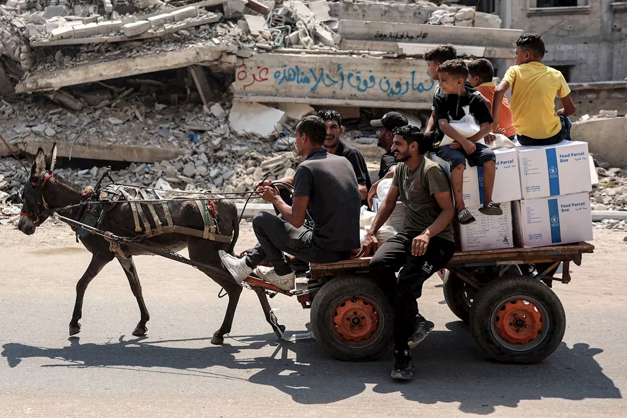 Tentera Israel ganggu kempen vaksinasi polio Gaza