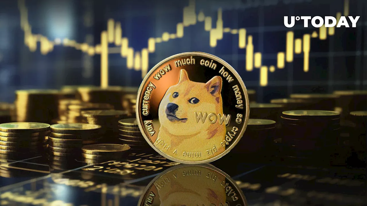 Dogecoin Rockets 118% in Bullish Whale Activity