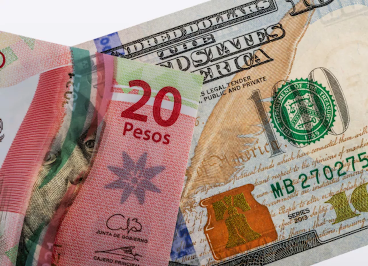 Peso mexicano se desploma, roza las veinte unidades por dólar