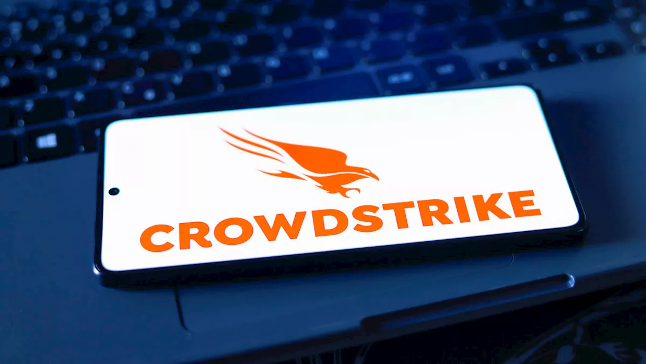 CrowdStrike still a cybersecurity leader post-outage: Analyst